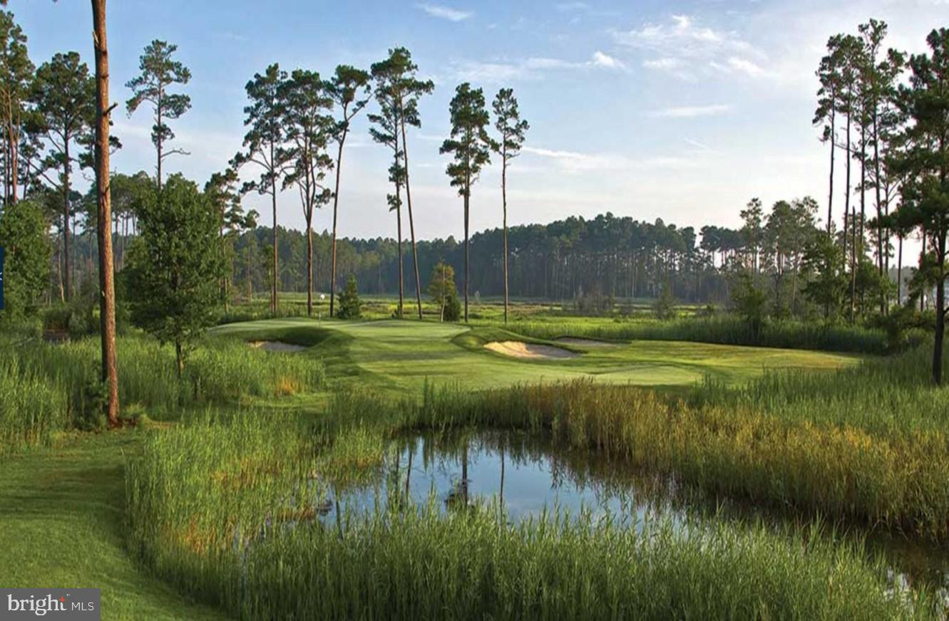 BAYSIDE - Residential