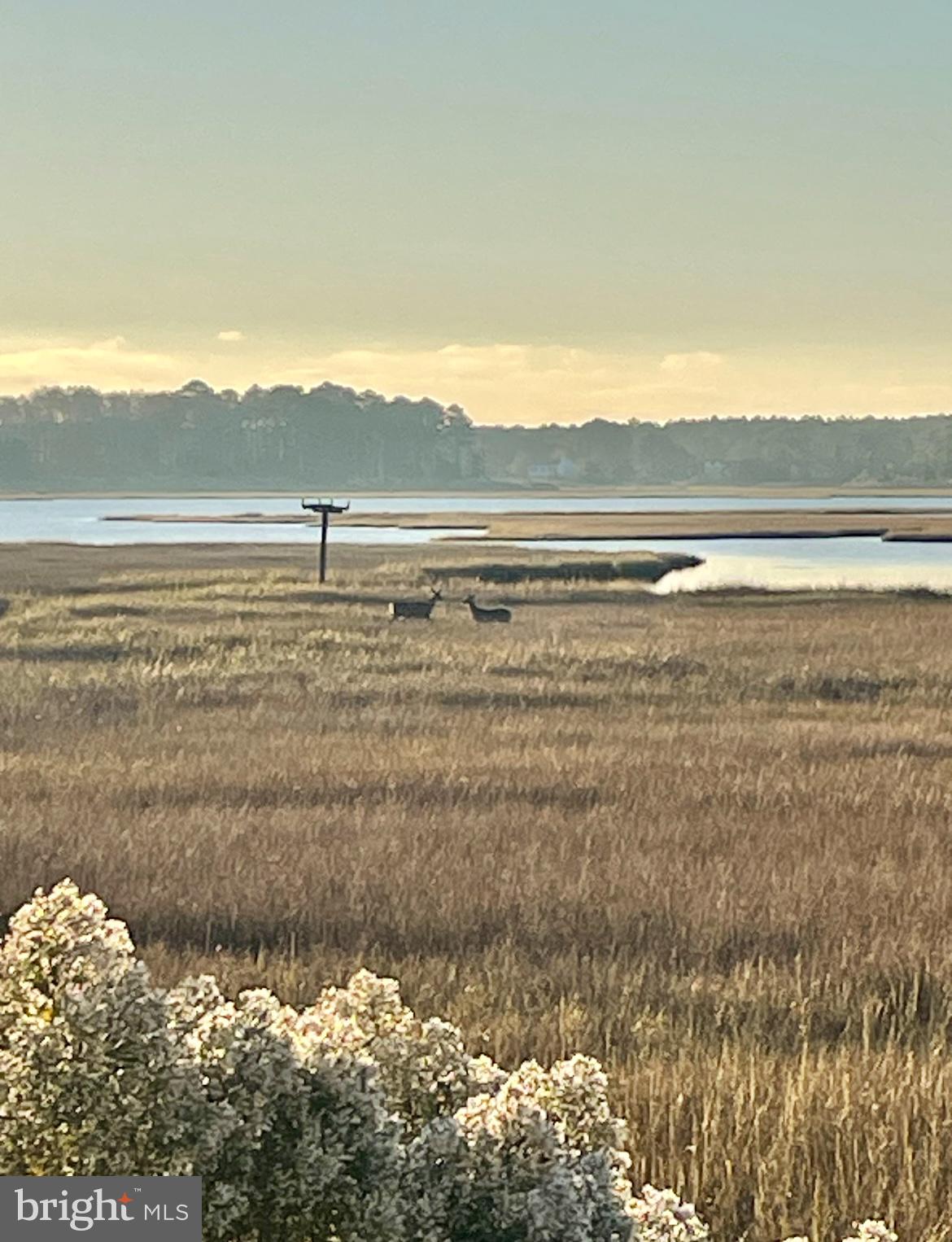 OCEAN PINES - SHERWOOD FOREST - Residential