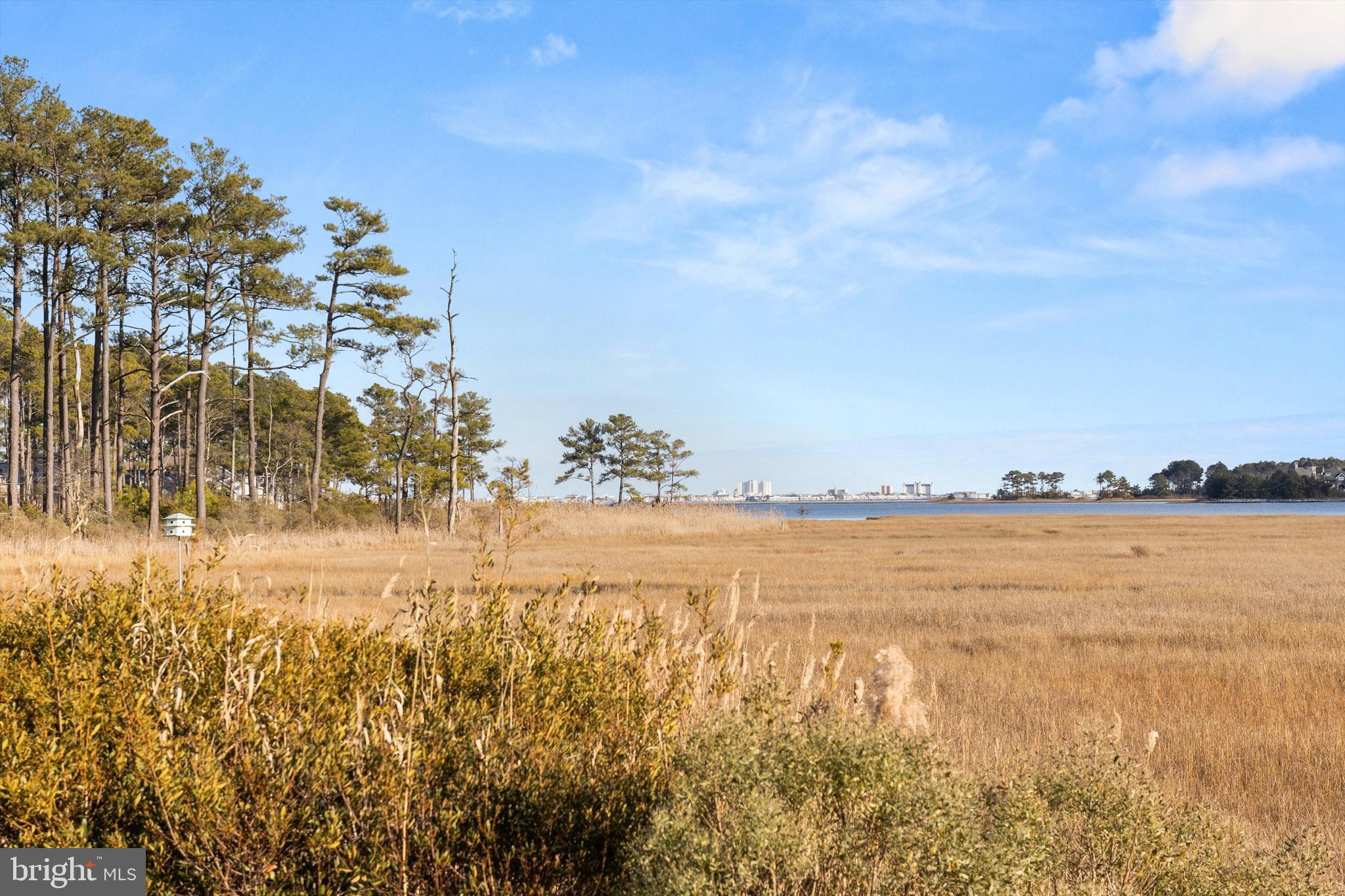 OCEAN PINES - SHERWOOD FOREST - Residential