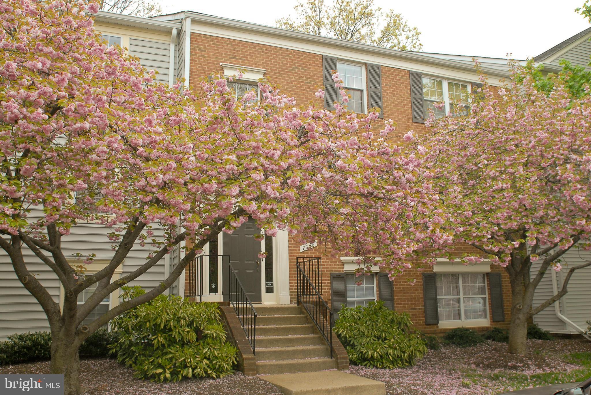 NEW PROVIDENCE VILLAGE - Residential