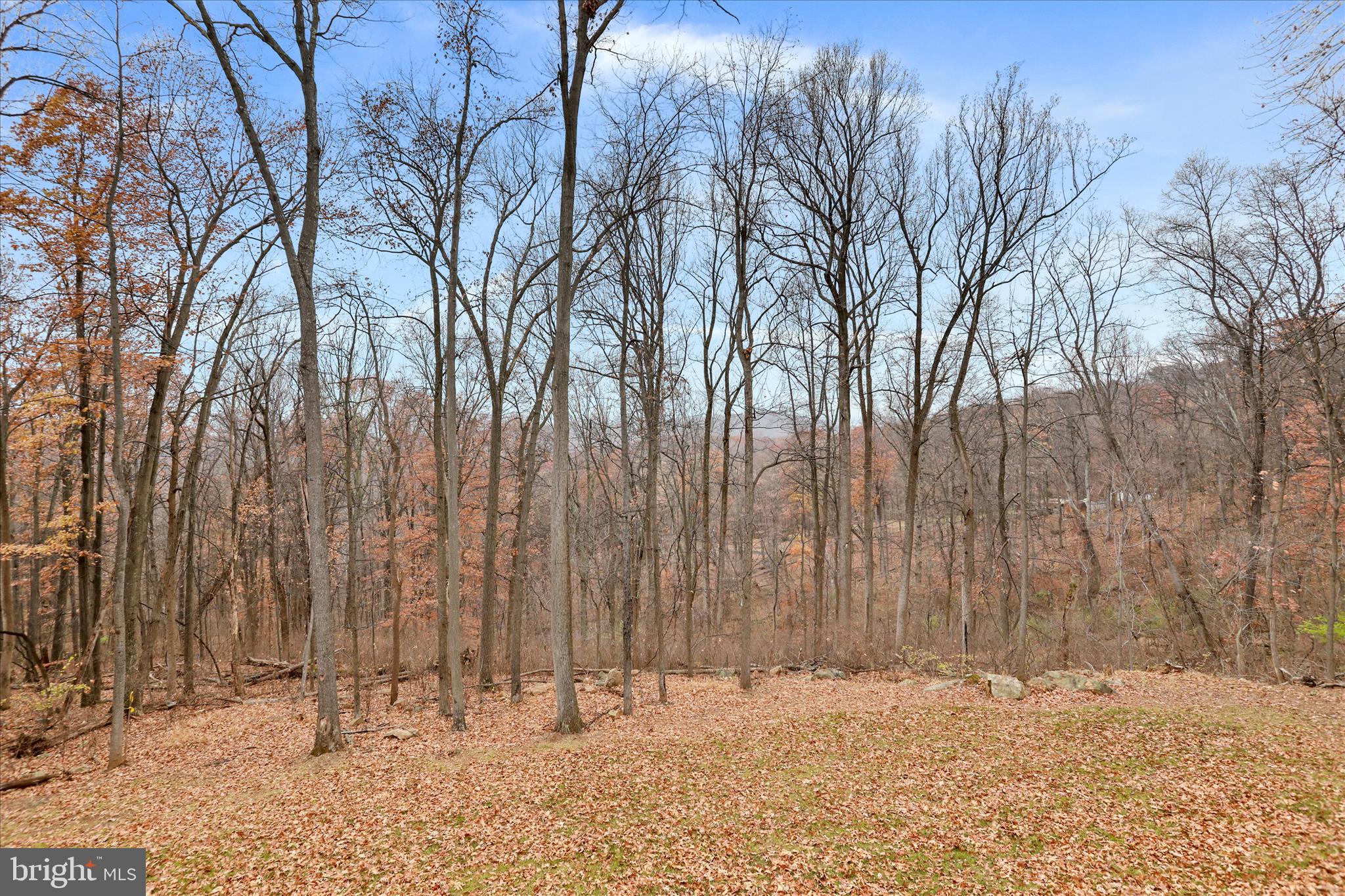 SHENANDOAH FARMS - Residential