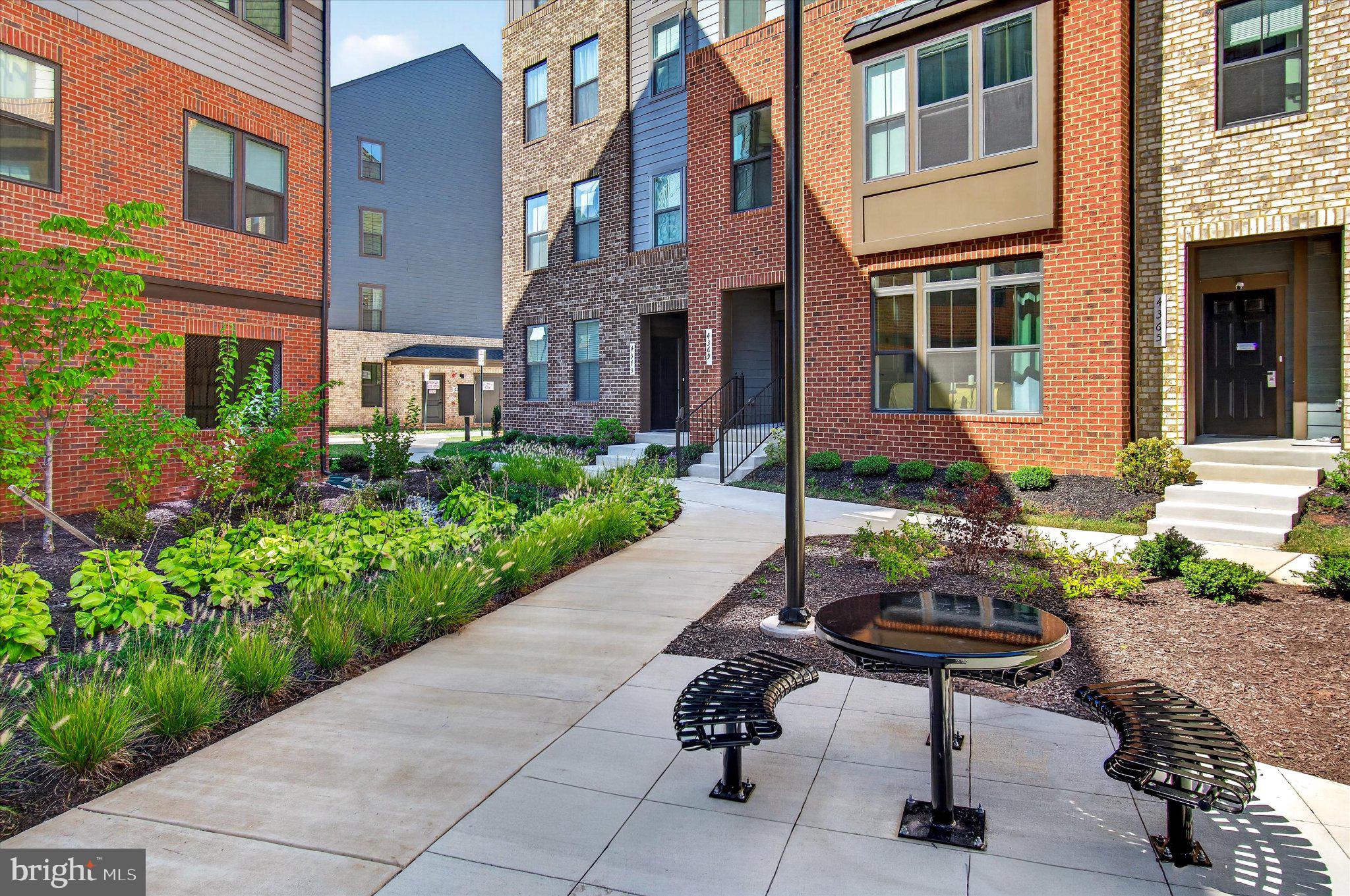 4373 BLACK TULIP WAY 241