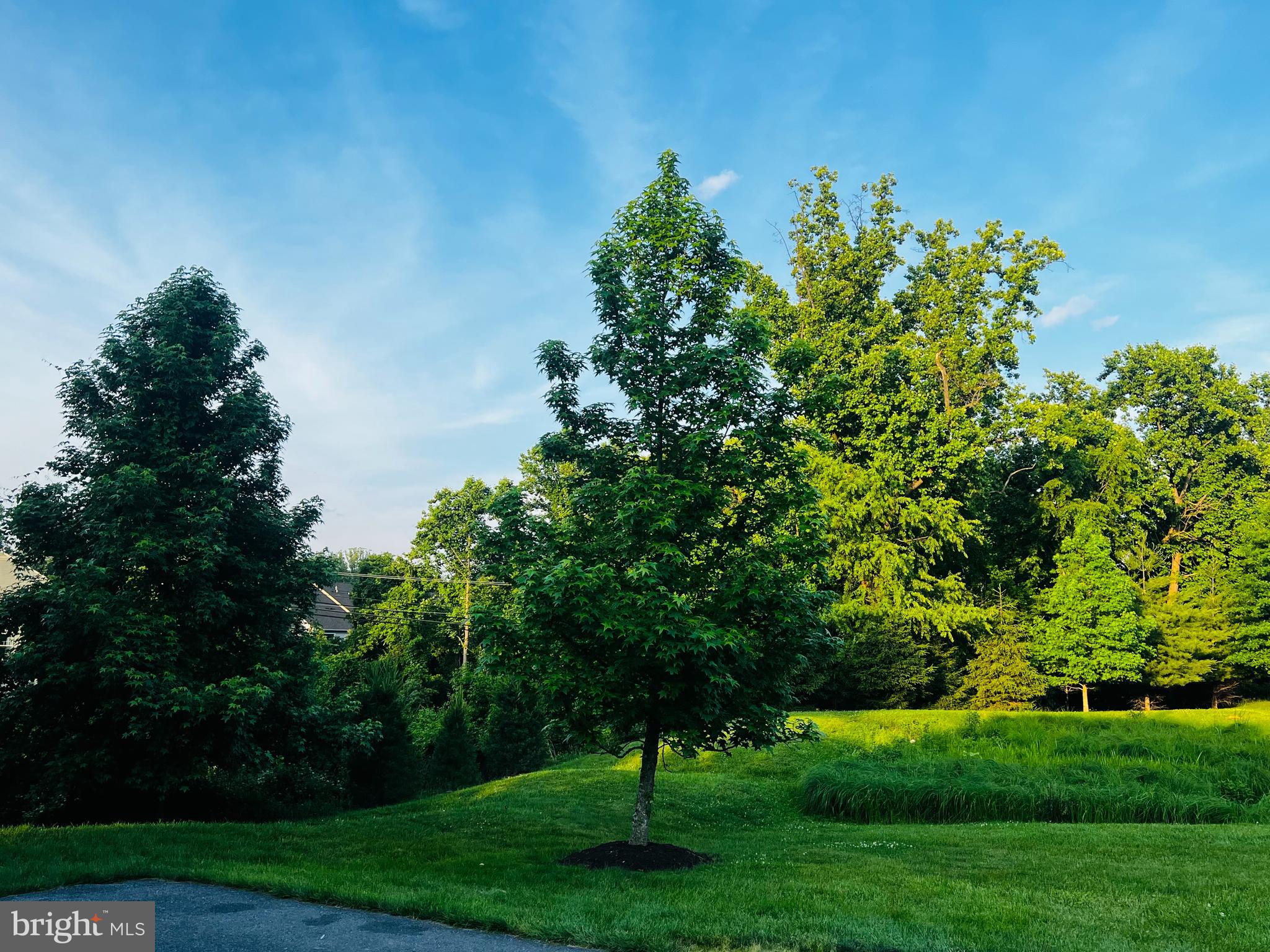 EMERSON - Residential Lease