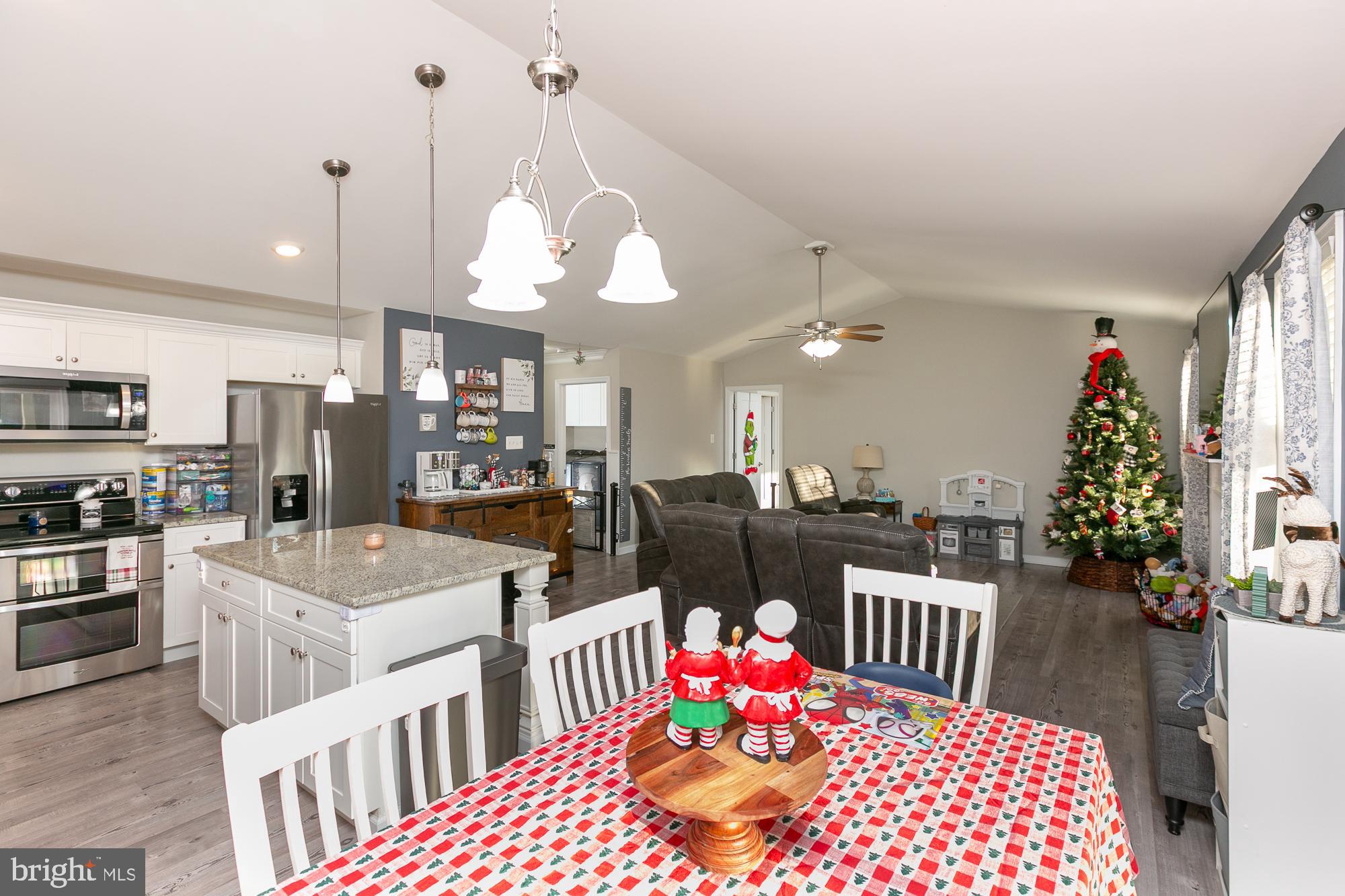 CHESTNUT HILL ESTATES - Residential