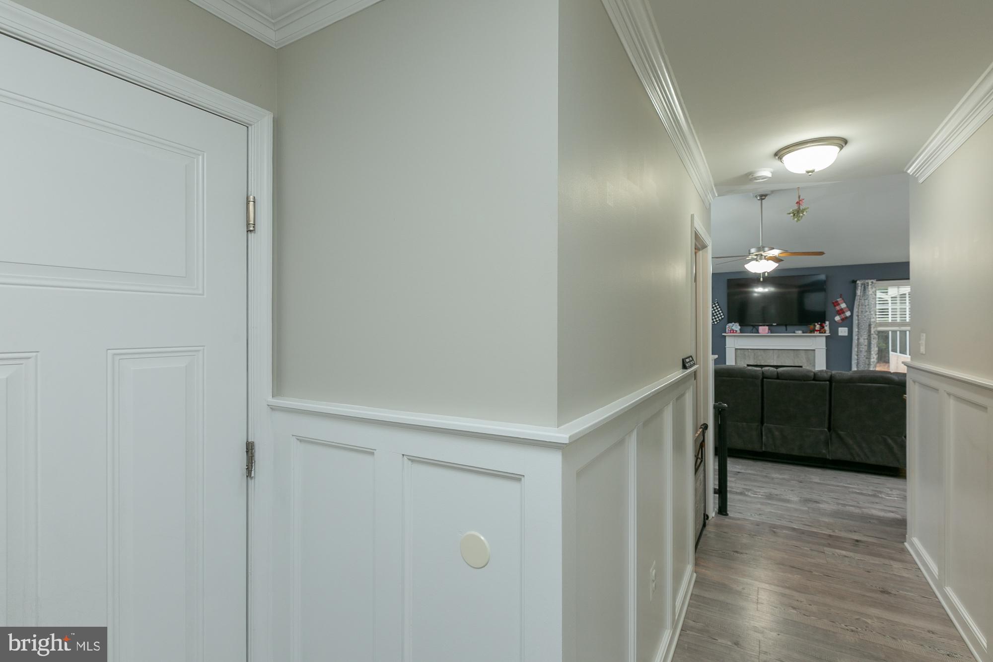 CHESTNUT HILL ESTATES - Residential