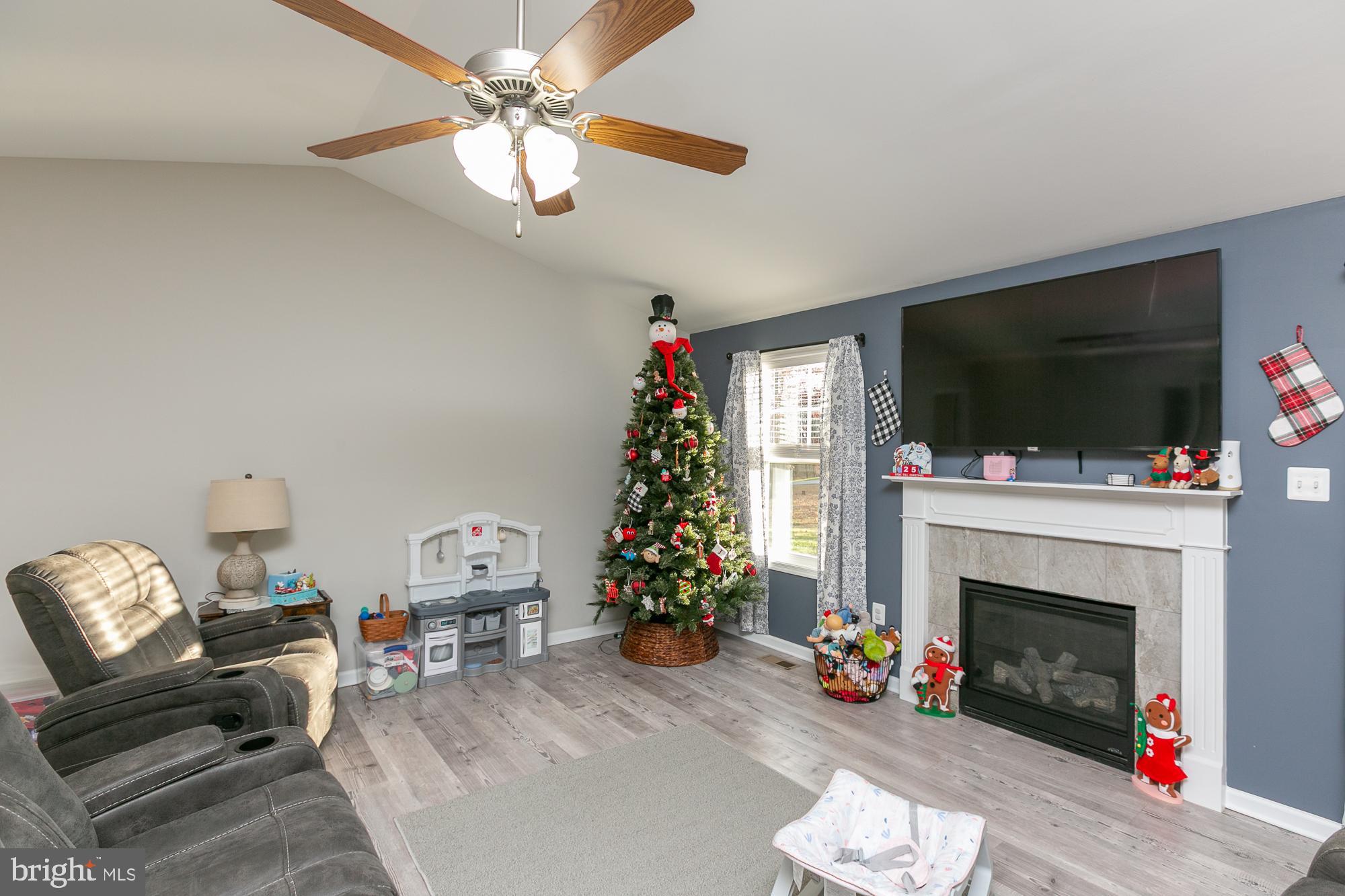 CHESTNUT HILL ESTATES - Residential