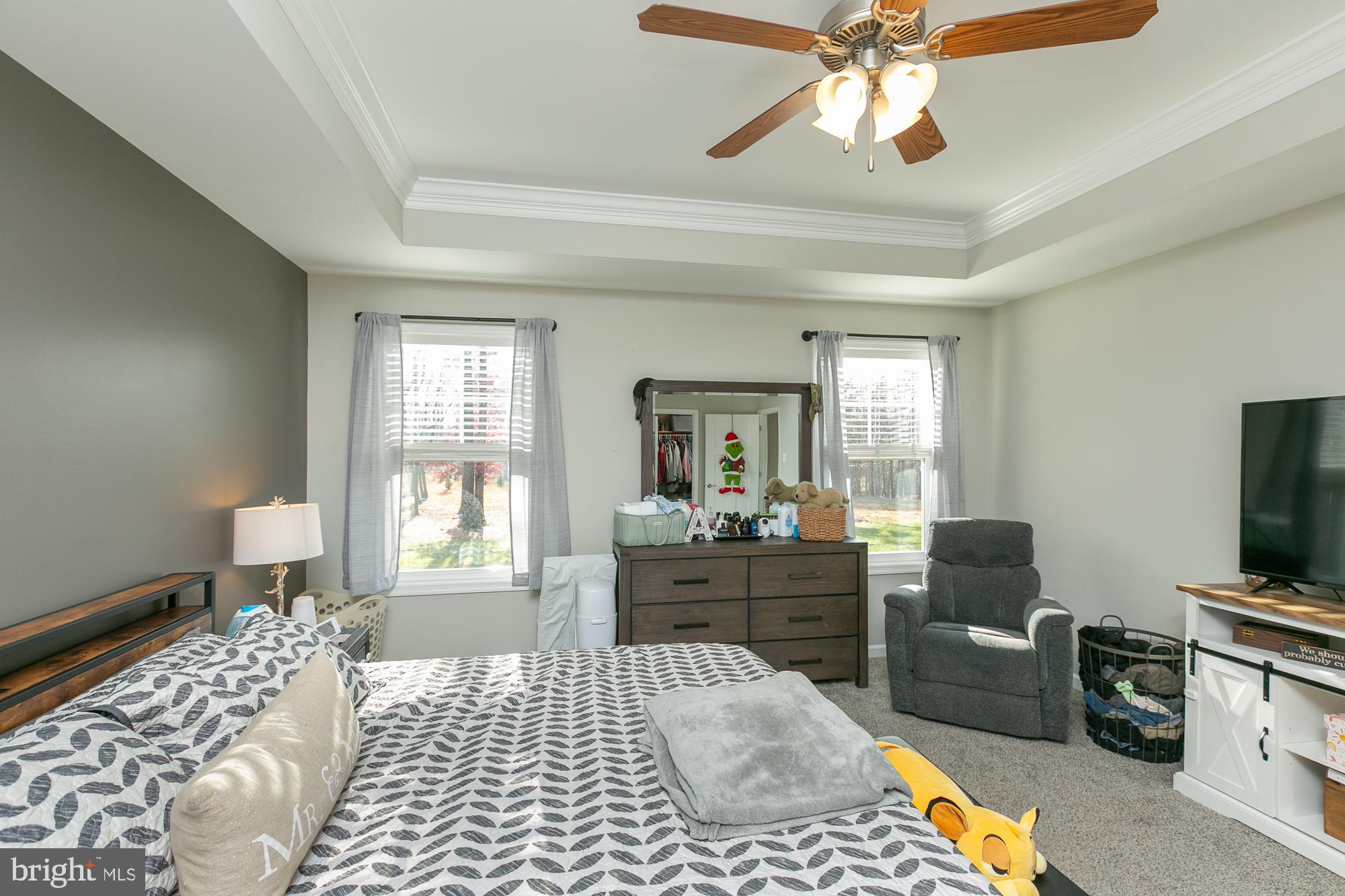 CHESTNUT HILL ESTATES - Residential