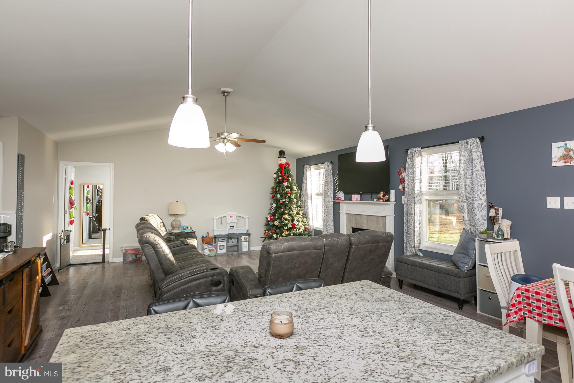 CHESTNUT HILL ESTATES - Residential