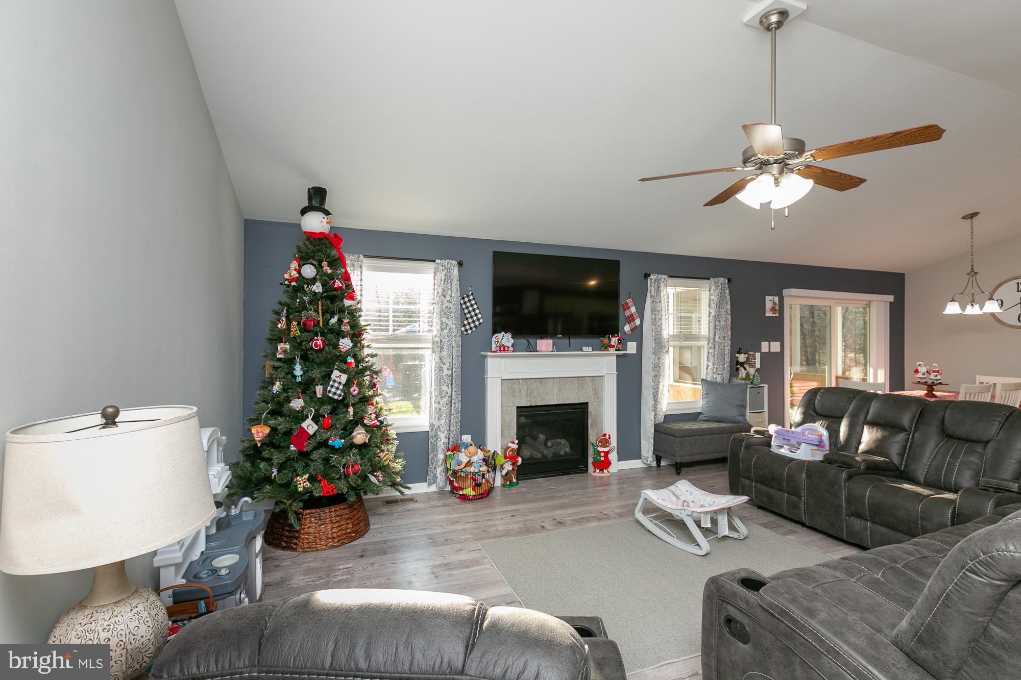 CHESTNUT HILL ESTATES - Residential