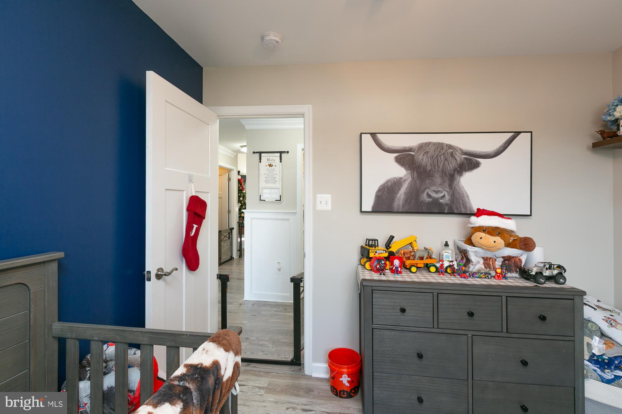 CHESTNUT HILL ESTATES - Residential