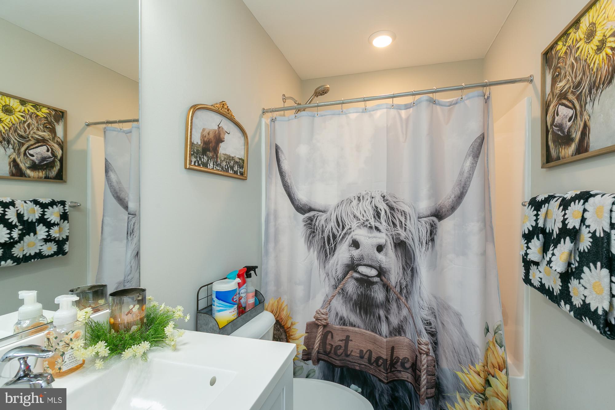 CHESTNUT HILL ESTATES - Residential