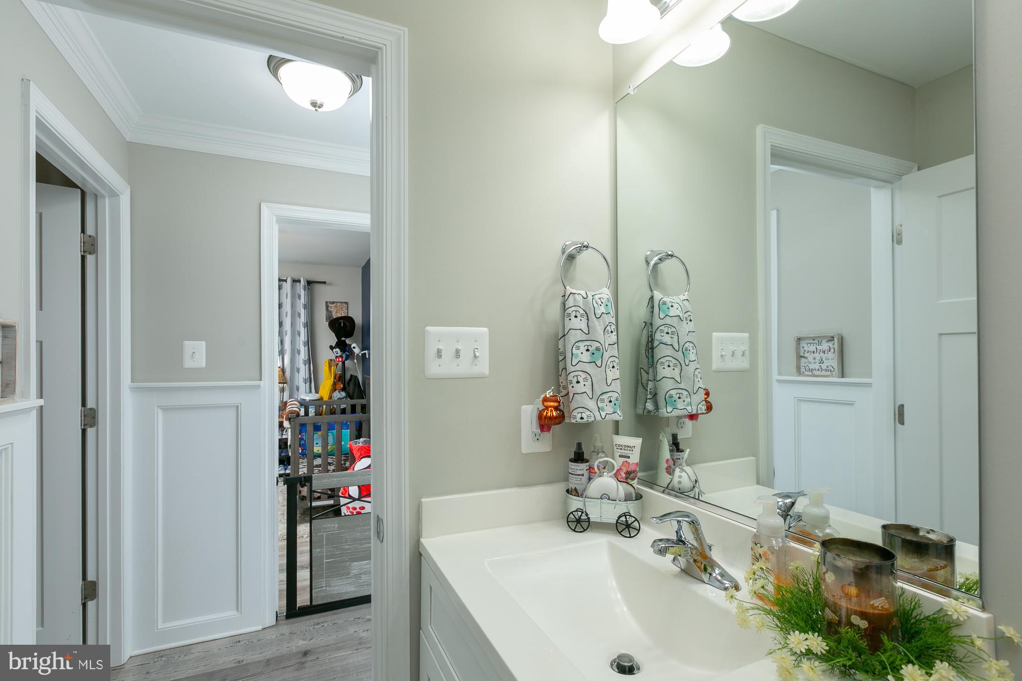 CHESTNUT HILL ESTATES - Residential