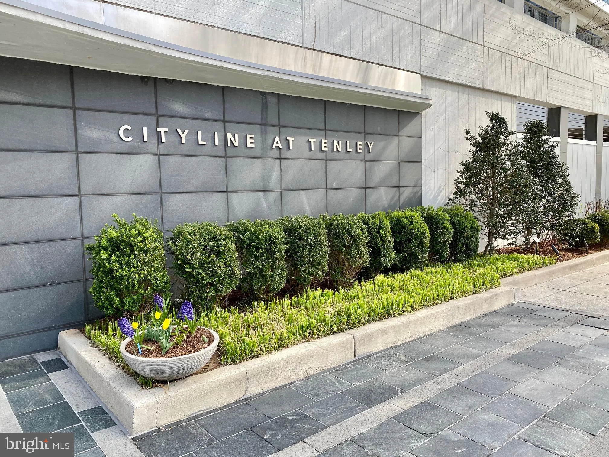 4101 Albemarle Street NW Unit 428, Washington, DC, 20016