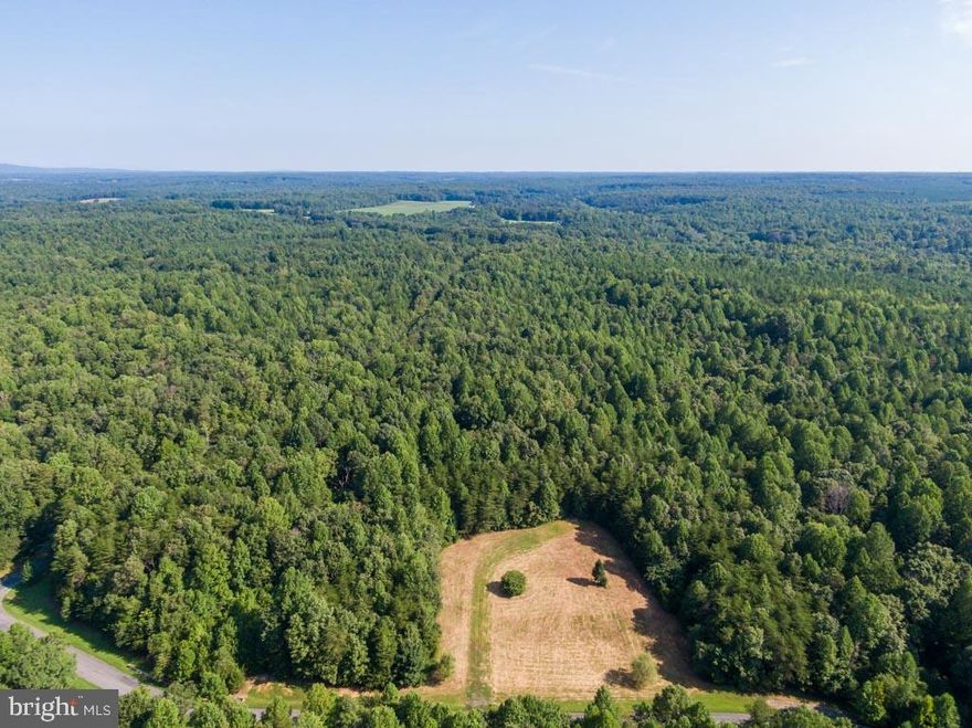 56.211 majestic acres near Lake Anna.  Perfect spot to build your dream home or to use as your own private hunt club.  This beautiful piece of property has a cleared one acre home site and has already been perced for a 4 bedroom conventional septic system.  It has paved road frontage on two sides.  Both roads are maintained.   There are cut trails throughout the 56 acres for hiking or your 4-wheeler.  Perfect place for deer and turkey hunting or just bird watching.  There is no HOA.  It is located on the corner of Terry's Run Road and Daniel's Point Drive. Currently taxes are reduced as the land is in forest usage.  The current rollback taxes if the one acre home site was to be build on would be under $175.  There is marketable timber on the property. Great location.  You can have your own peaceful retreat yet you are minutes from public boat ramps for Lake Anna, less than 10 miles to the shopping center and grocery store.  Don t want to cook dinner?  You are 5 miles from Tim s at Lake Anna Restaurant and Crabhouse for dinner on the water or live music.  You are only 5 miles away from a local winery and 8 miles from Lake Anna State Park.  Take a moment to look at the video shot from a drone.  Beautiful country, isn t it?If you ask residents of Orange County why they love living here, they are happy to tell you. It is a friendly and welcoming area nestled in-between farmland, horse farms, wine orchards and rich in history. You should not miss the exciting Montpellier Horse Races or Oakland Heights Bull Riding Rodeo. The old fashion Orange County Fair is held every summer at the fairgrounds and is a true "Mayberry" experience with its pie baking contest, 4-H Livestock Club competitions, mule pulls and wonderful fair food. This property minutes to Lake Anna access, close to the town of Orange, Culpeper or Locust Grove. Less than 40 miles to Charlottesville. Orange is home to some of the most beautiful Bed & Breakfasts and wedding venues. We are a hardworking county with our crop production, livestock farms, one of the Ridgid Tool making plants and multiple flower growers. Residents of Orange love our outdoor recreation- golfing, horseback riding, fishing, hunting, hiking, or even skydiving at the Orange County Airport. We have food festivals, parades, wine tours, wool festivals, sheep dog trials, tractor pulls, paintball parks, Friday night football games, art galleries and plays. You can do as much as you like or nothing at all. What is not to love about living in Orange County Virginia!?