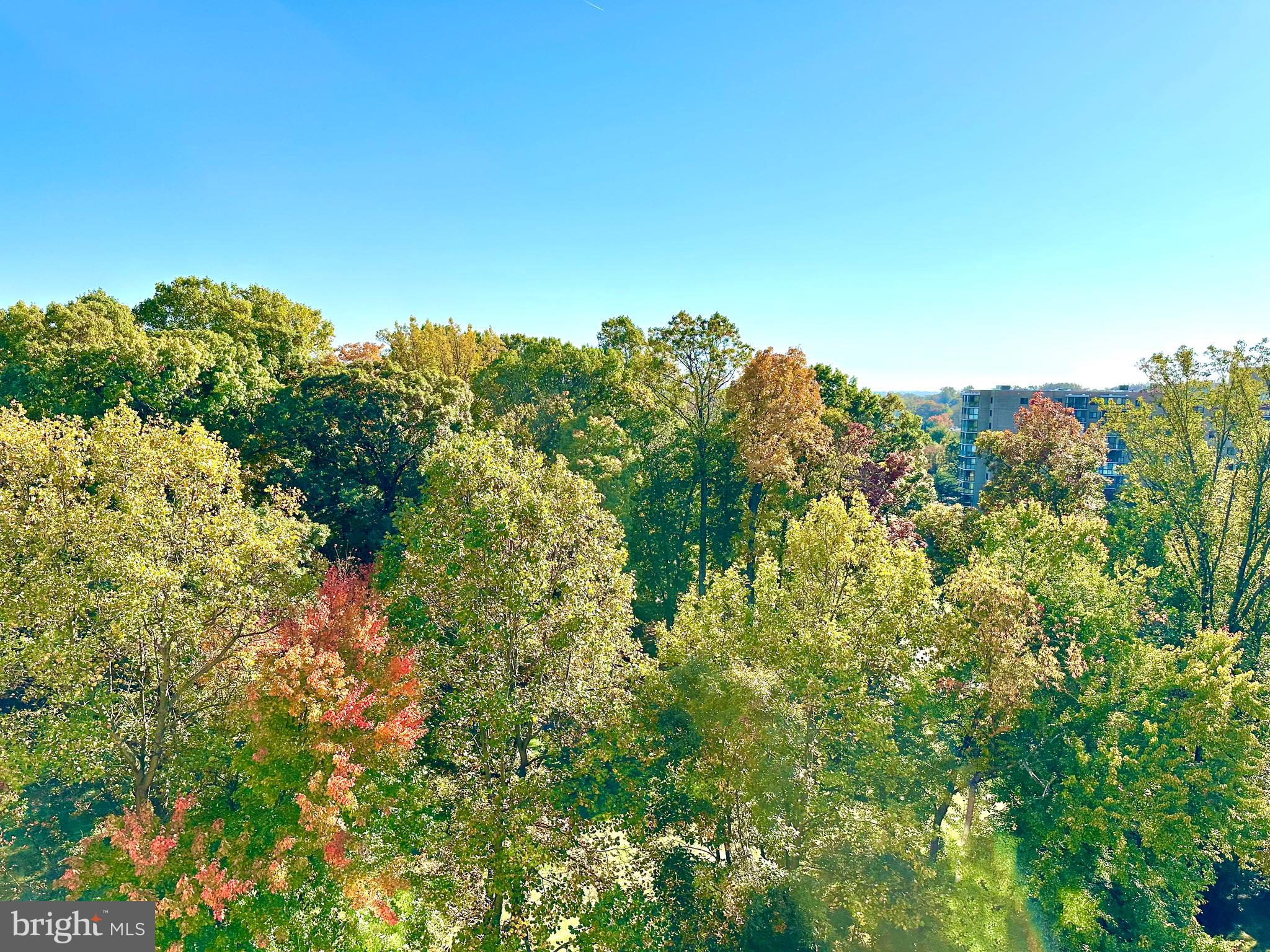 LEISURE WORLD - Residential