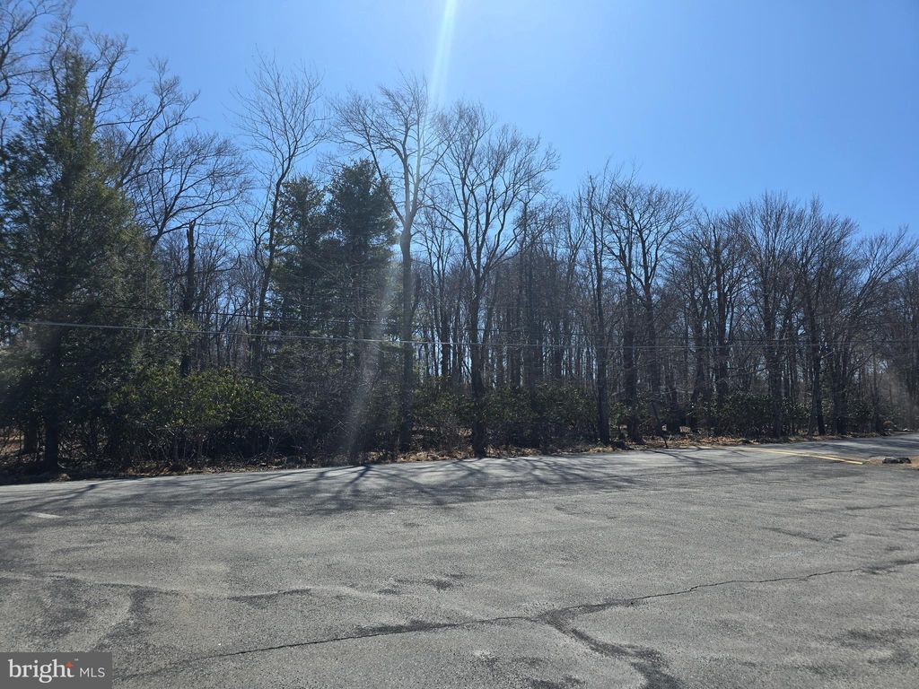 Photo of 0 Stillwater Drive, POCONO SUMMIT, PA 18346 (MLS # PAMR2004354)