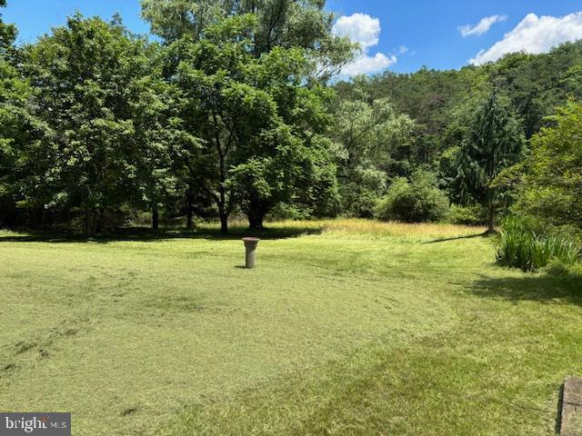 446 HONEYMOON HOLLOW ROAD