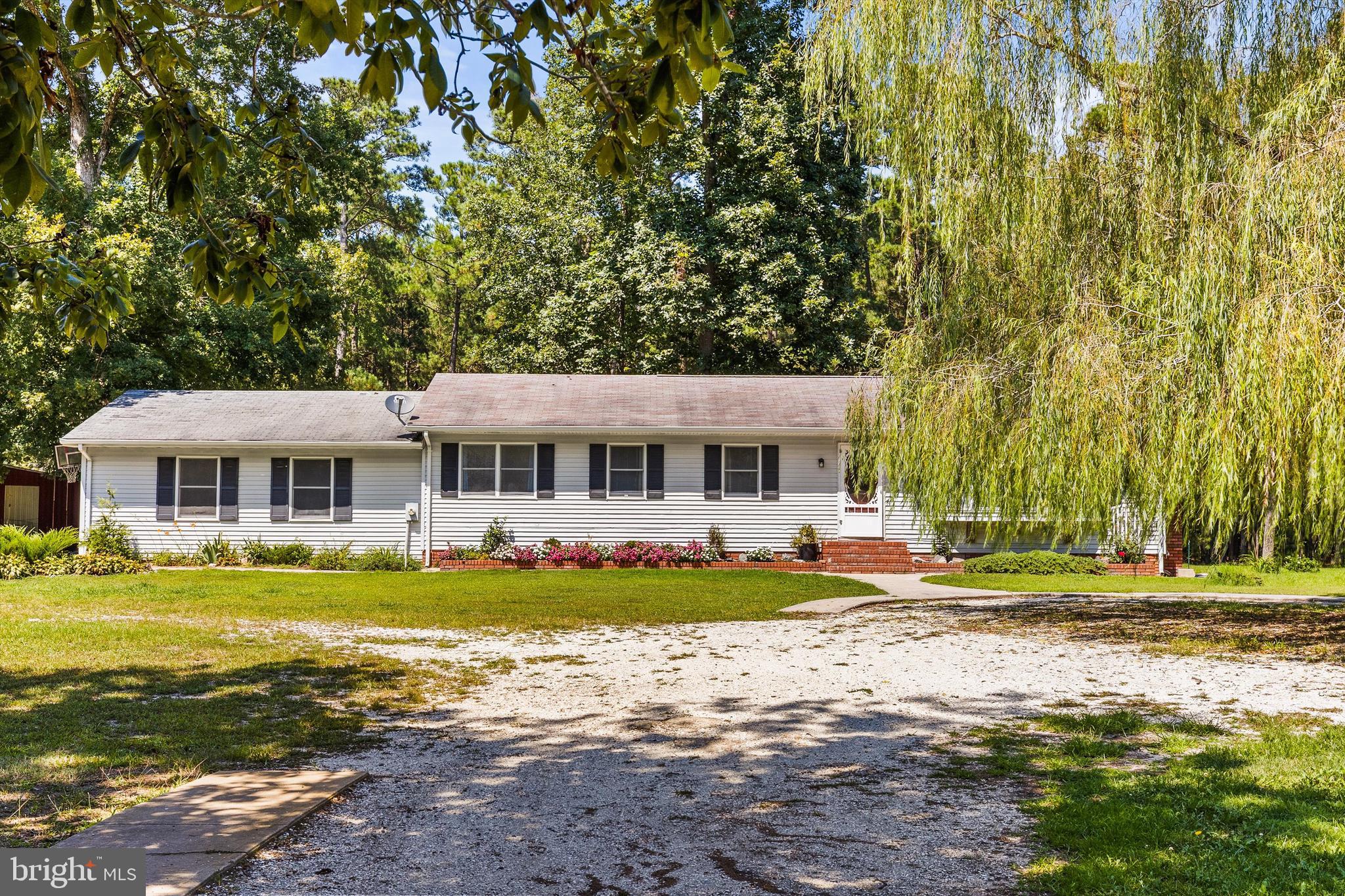 6019 BASKET SWITCH ROAD