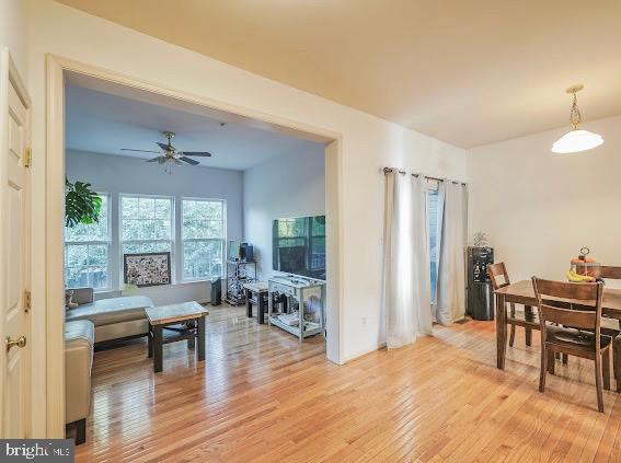 WALNUT RIDGE - Residential