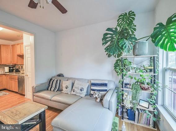 WALNUT RIDGE - Residential