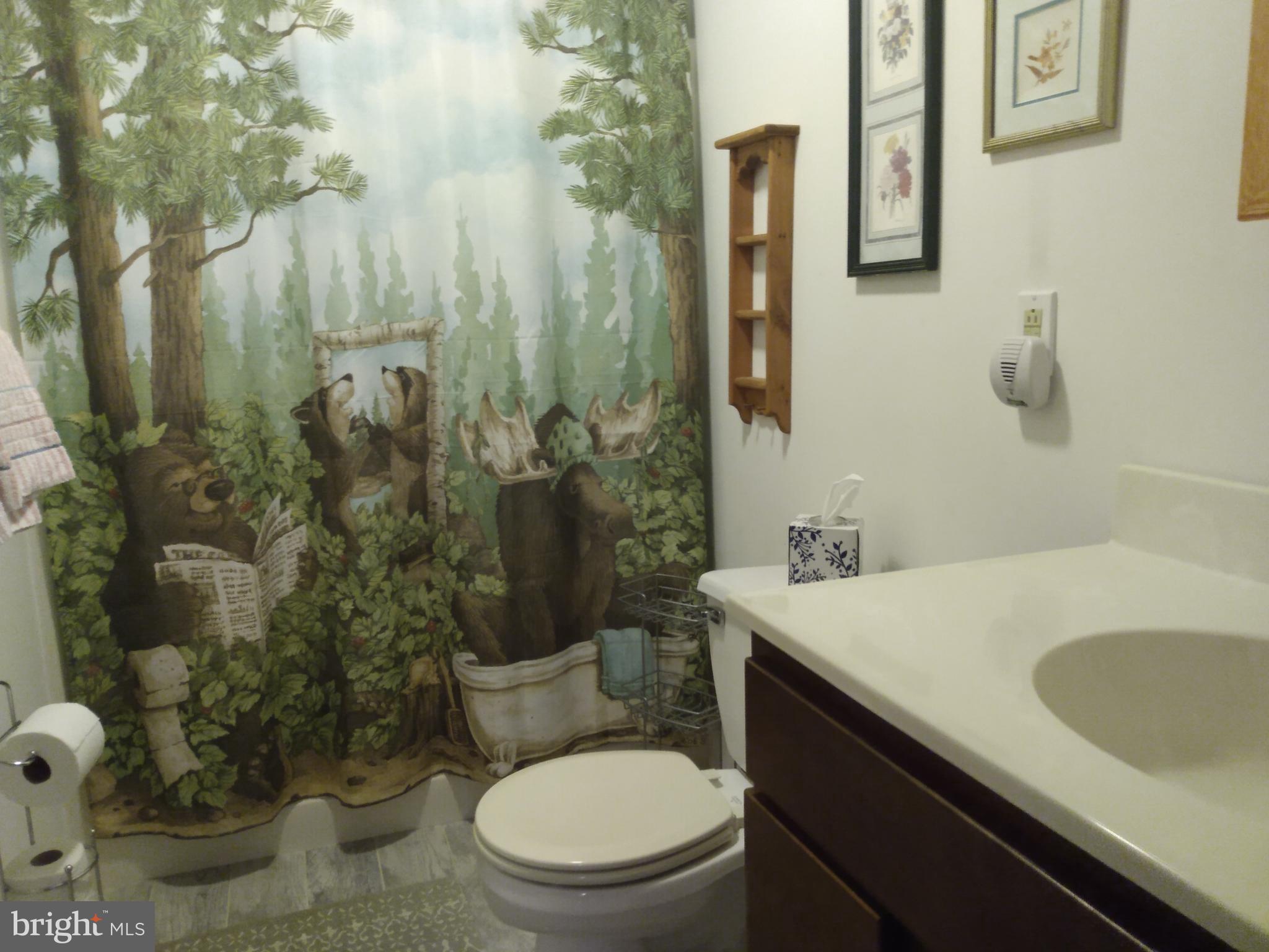 ROUSE MOUNTAIN - Residential