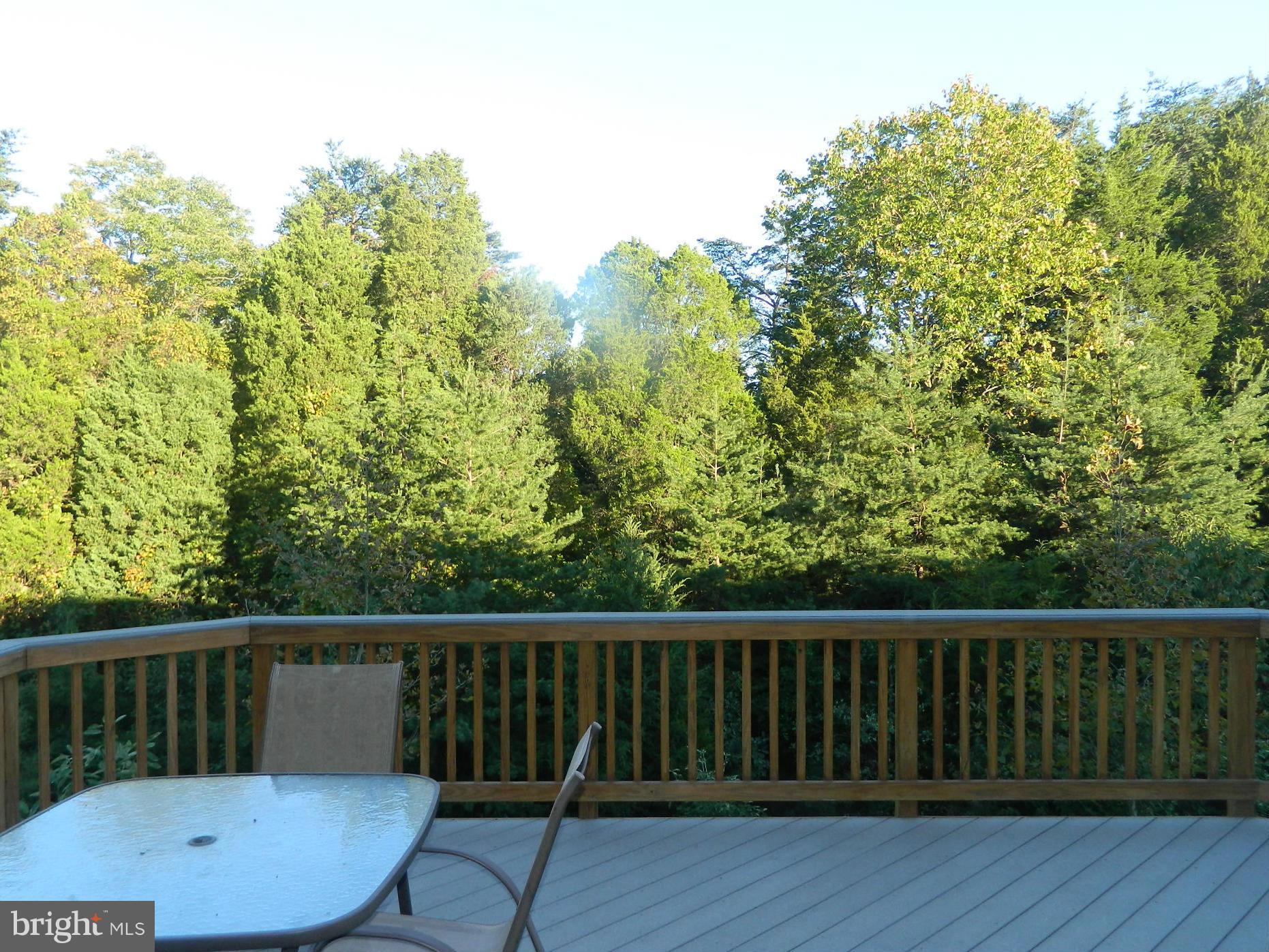 STONE RIDGE SOUTH - Residential Lease