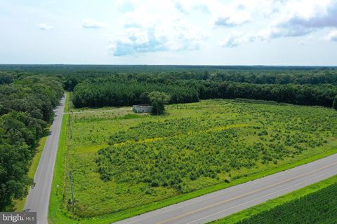 1637 DUN SWAMP ROAD POCOMOKE CITY MD 21851