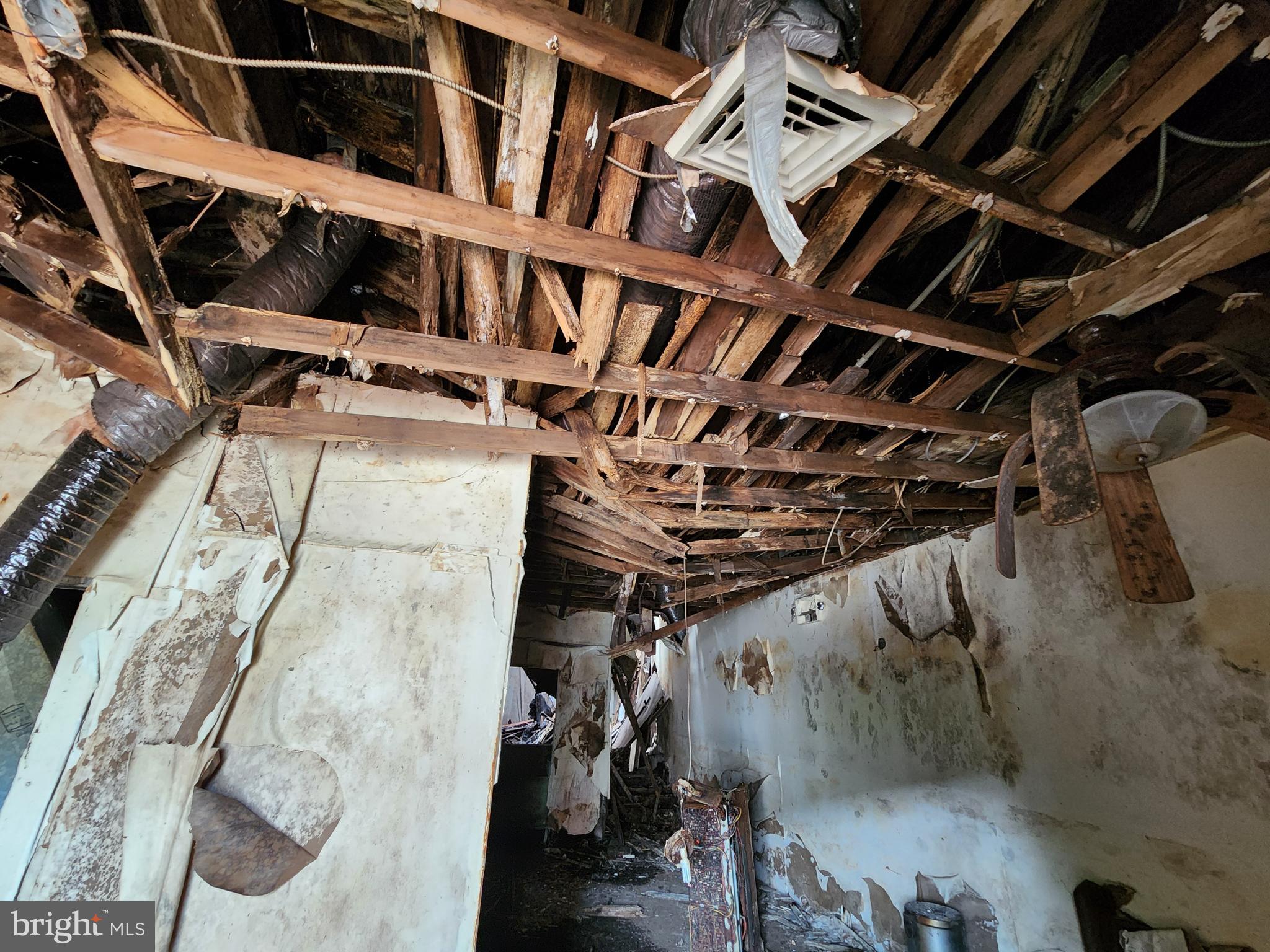 BUTCHERS HILL - Residential