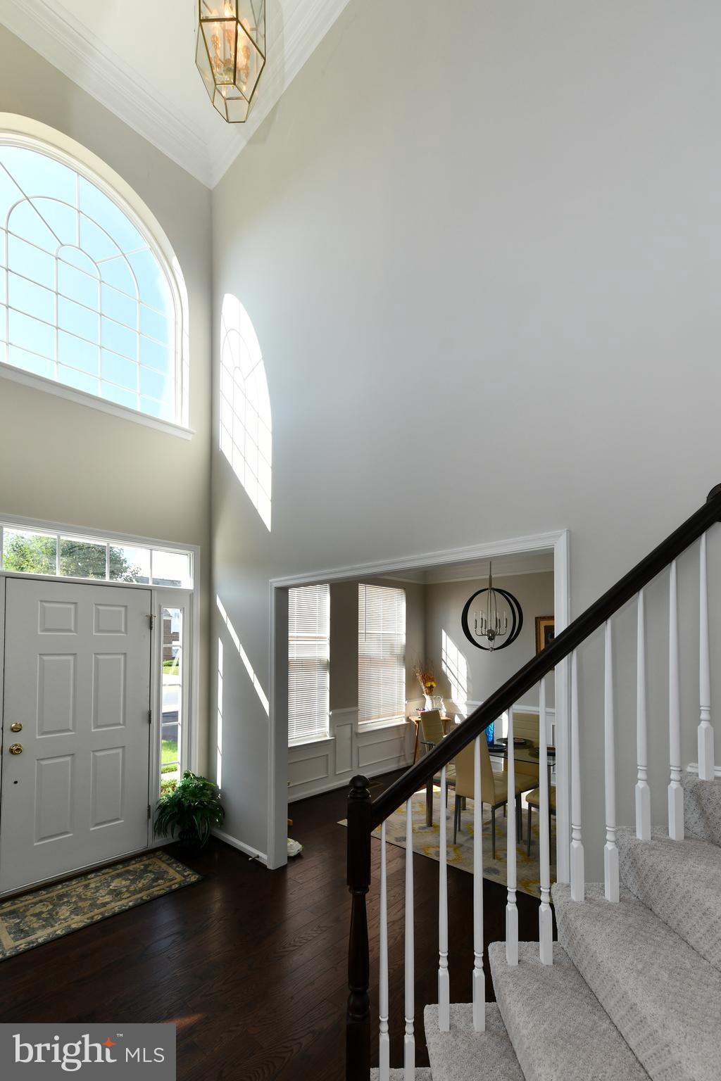 LAKEVIEW AT BRANDYWINE - Residential