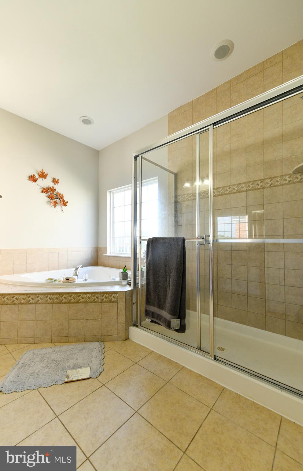 LAKEVIEW AT BRANDYWINE - Residential