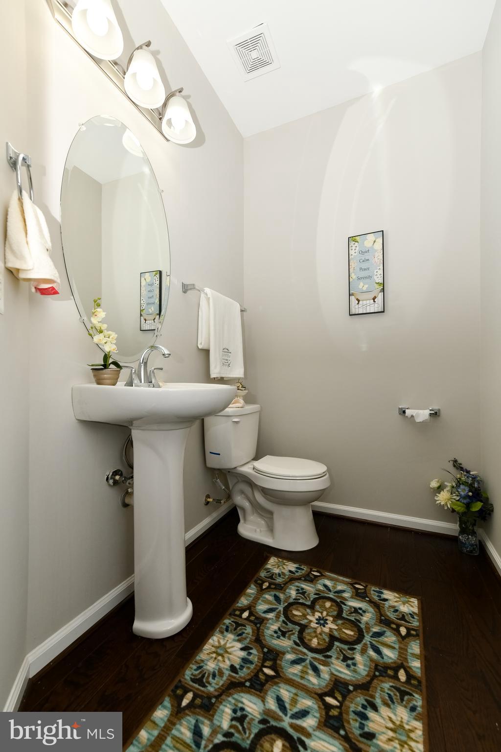 LAKEVIEW AT BRANDYWINE - Residential