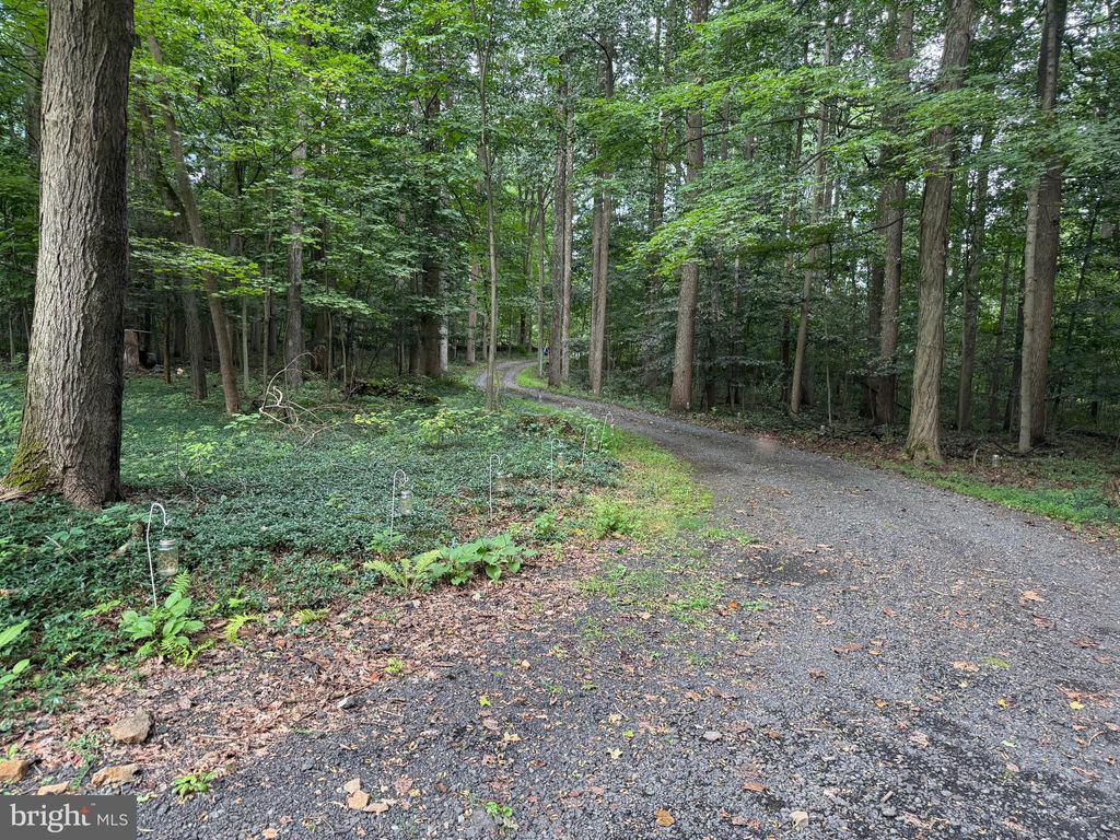 Photo of 172 Stone Road, BARTO, PA 19504 (MLS # PAMC2157272)