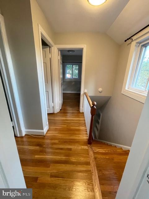 ARLINGTON FOREST - Residential Lease