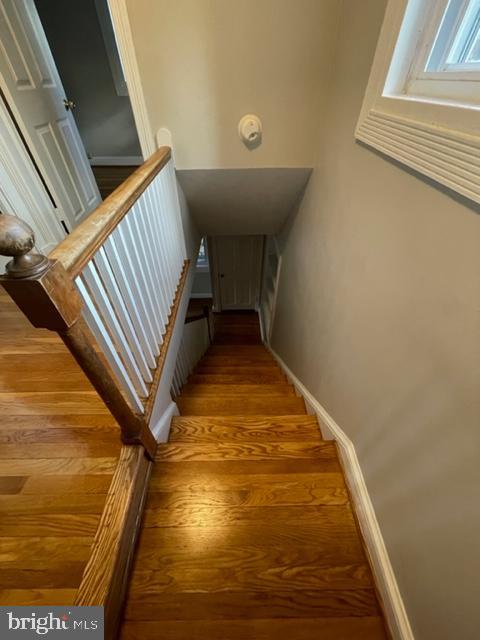 ARLINGTON FOREST - Residential Lease