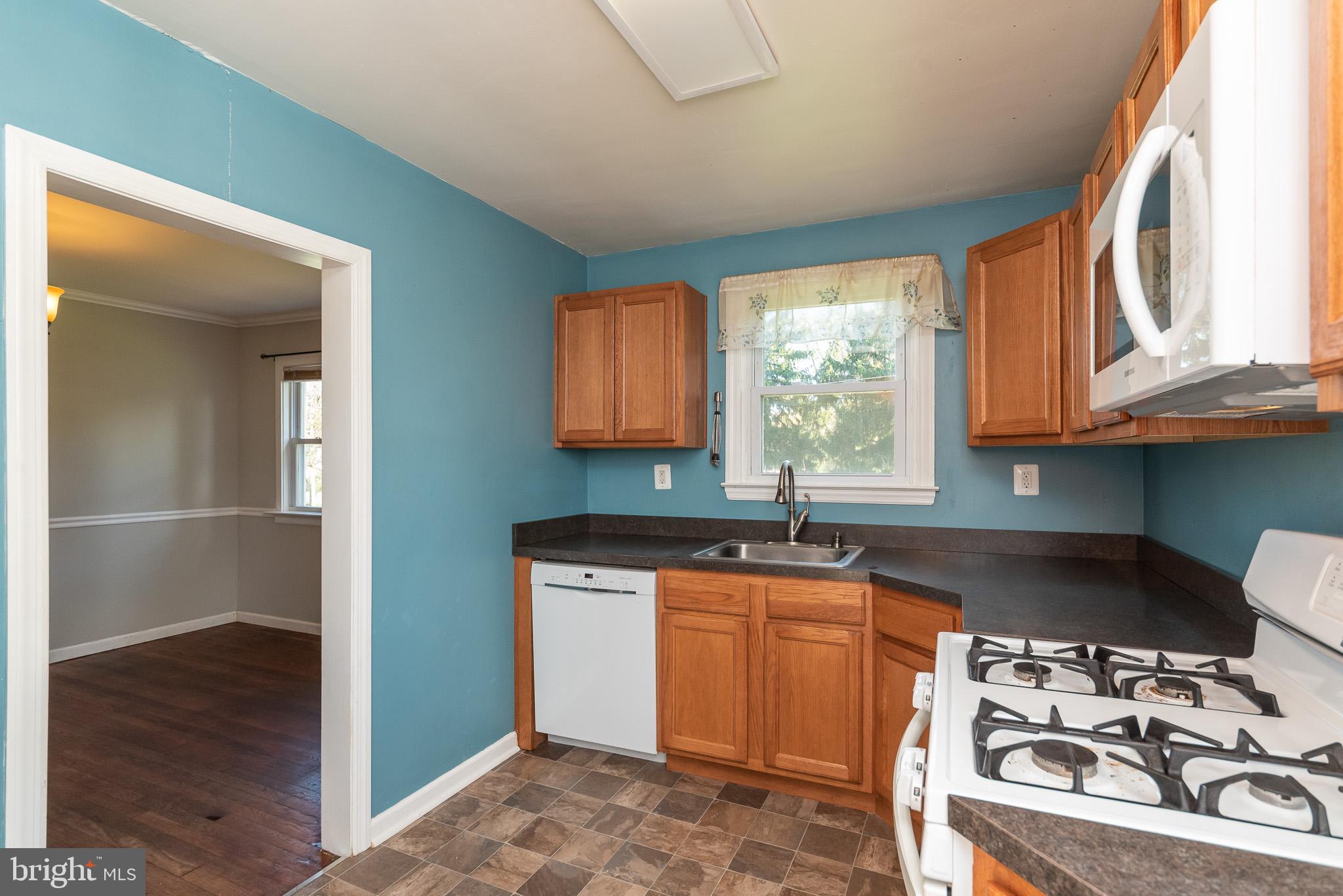 WEBSTER VILLAGE - Residential