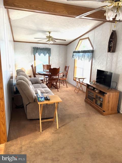 WEST BAY PARK - Residential