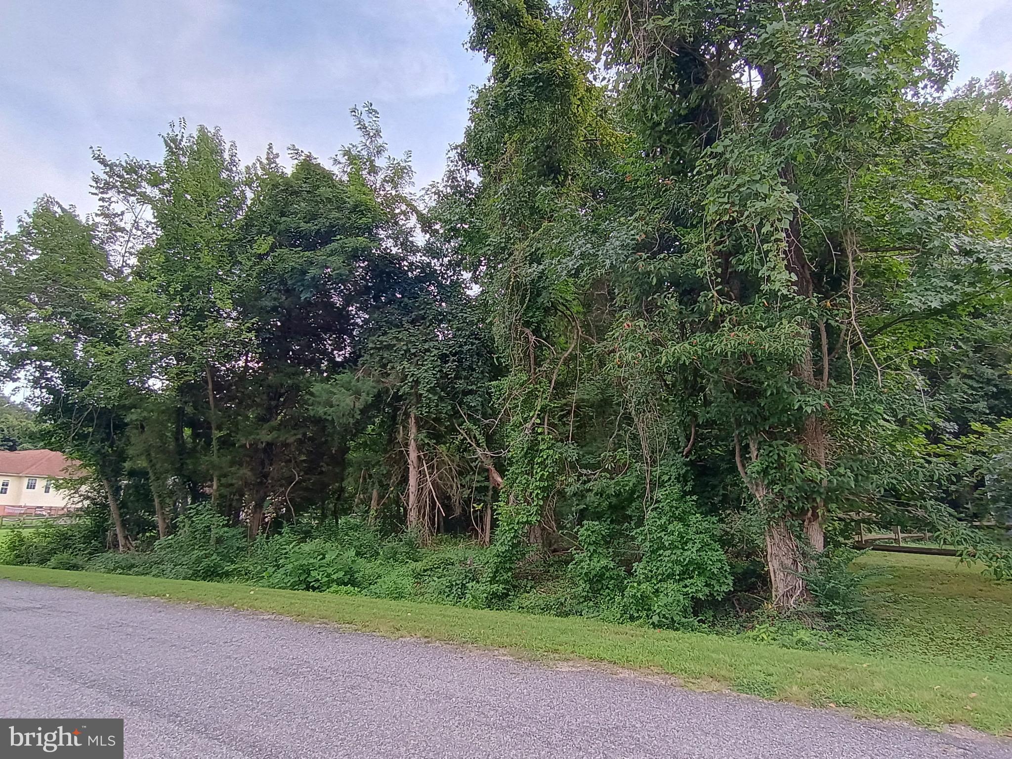 Lot 51 AMERICAN DRIVE