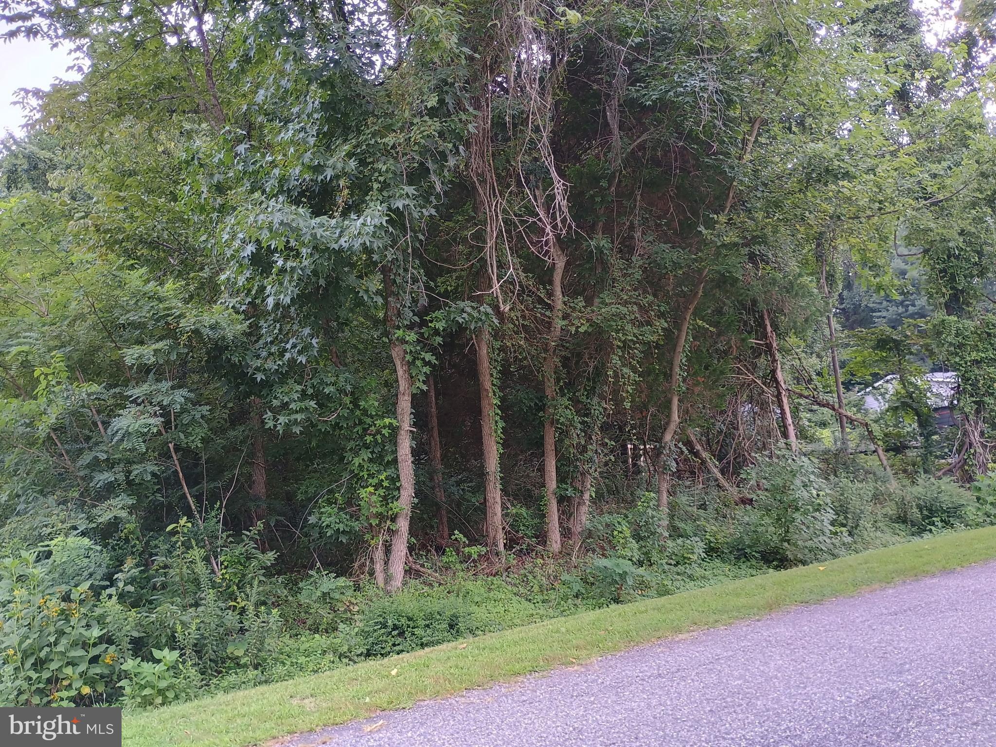 Lot 51 AMERICAN DRIVE