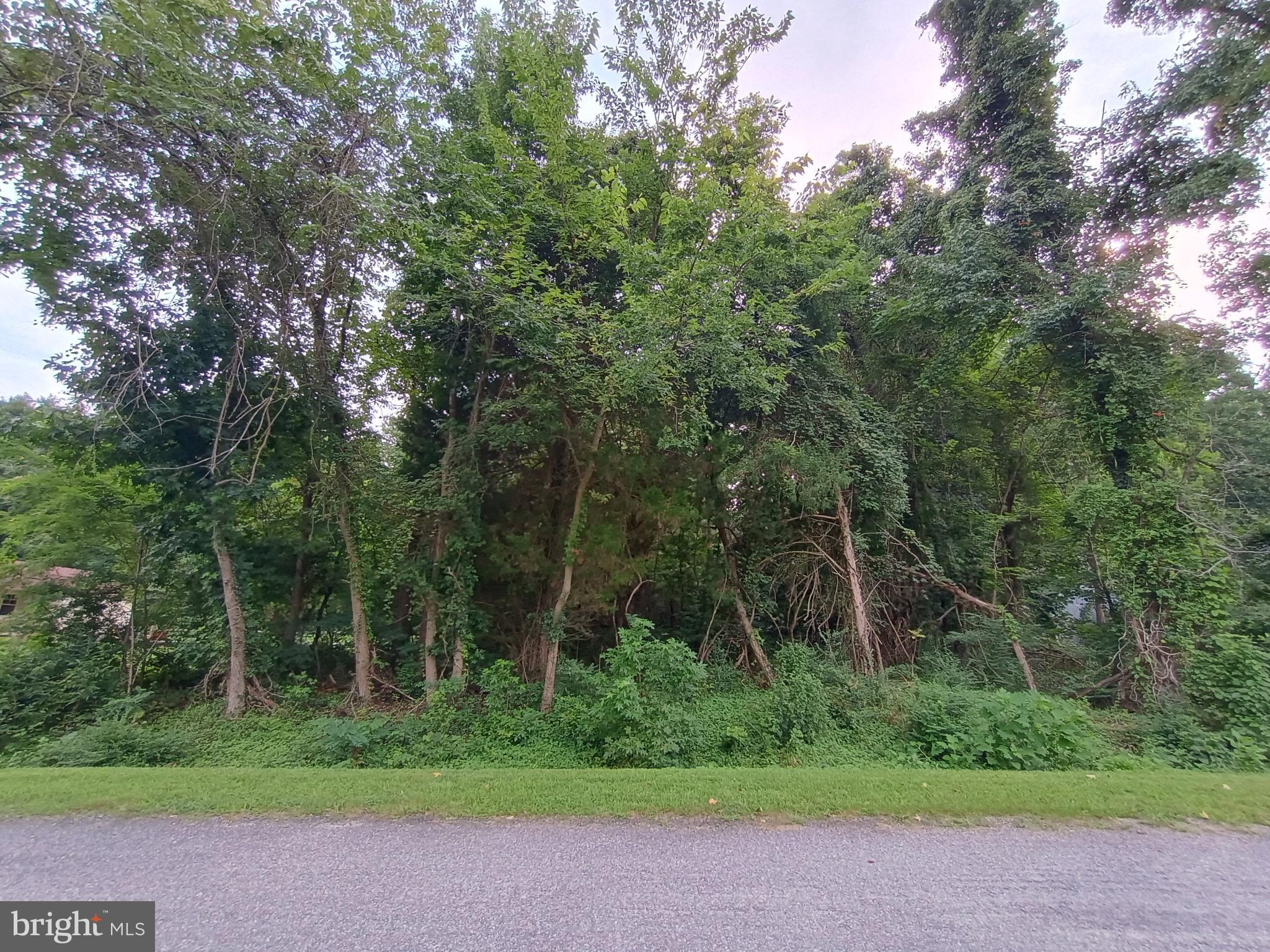 Lot 51 AMERICAN DRIVE