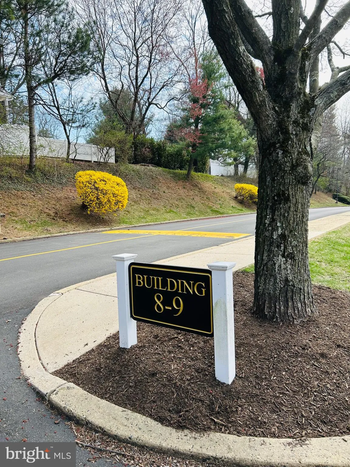 Elkins Park, Pennsylvania 19027, United States, 2 Bedrooms Bedrooms, ,2 BathroomsBathrooms,Residential,Coming Soon,91576