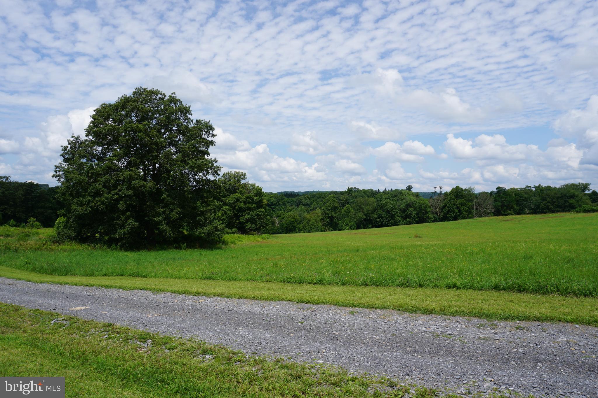 STEMPLE RIDGE - Residential