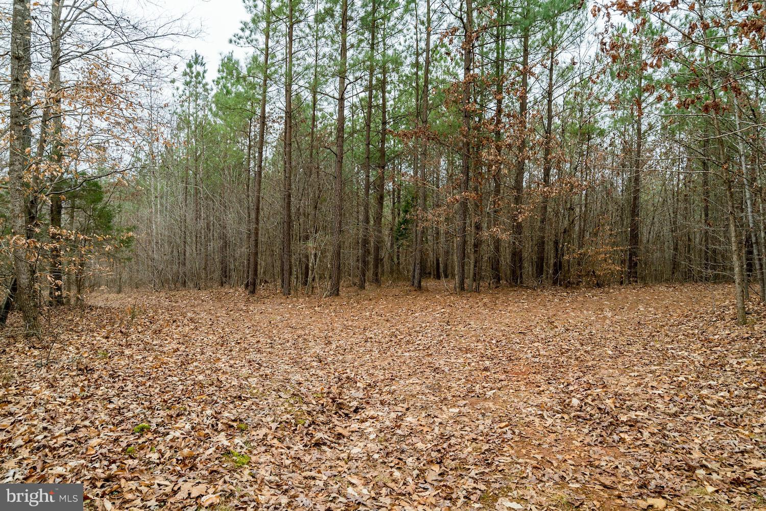 BUFFALO RIDGE - Land