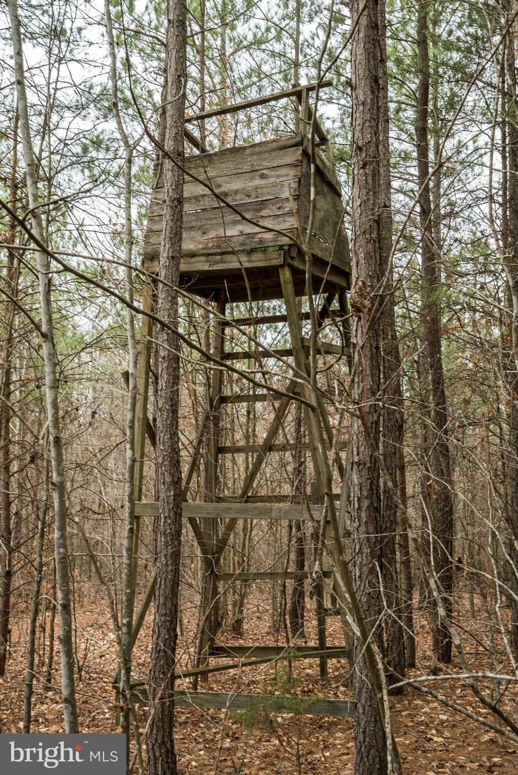 BUFFALO RIDGE - Land