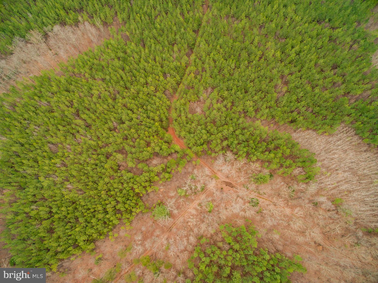 BUFFALO RIDGE - Land