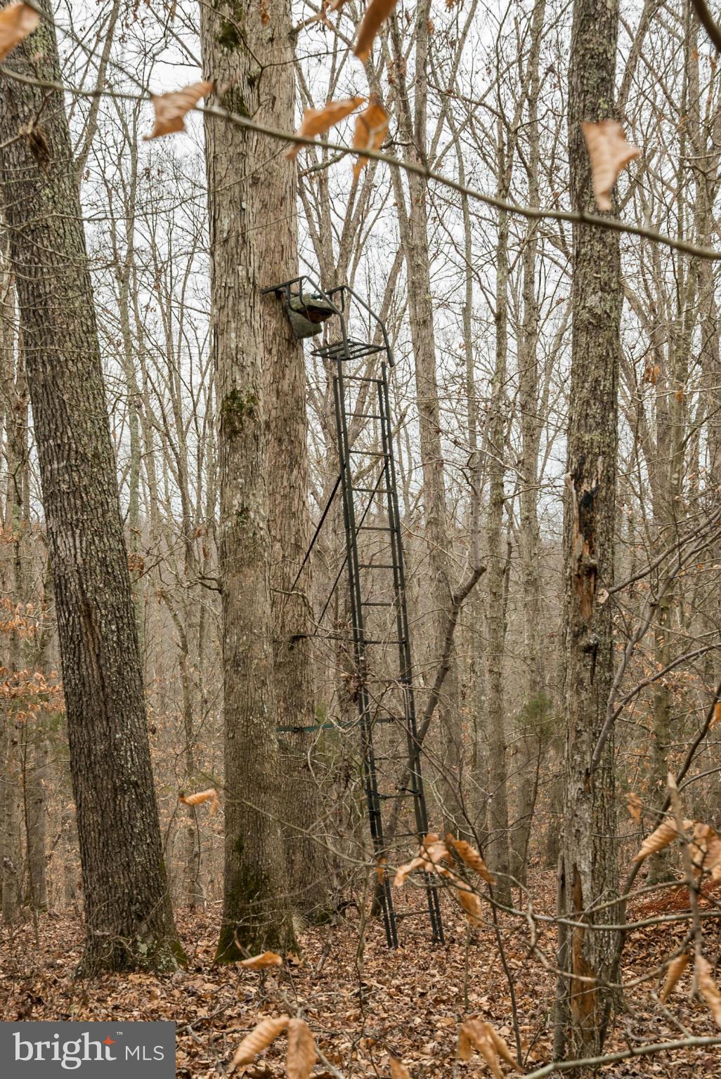 BUFFALO RIDGE - Land