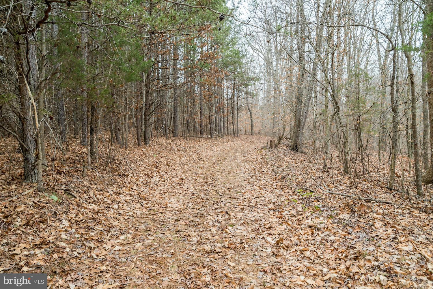 BUFFALO RIDGE - Land