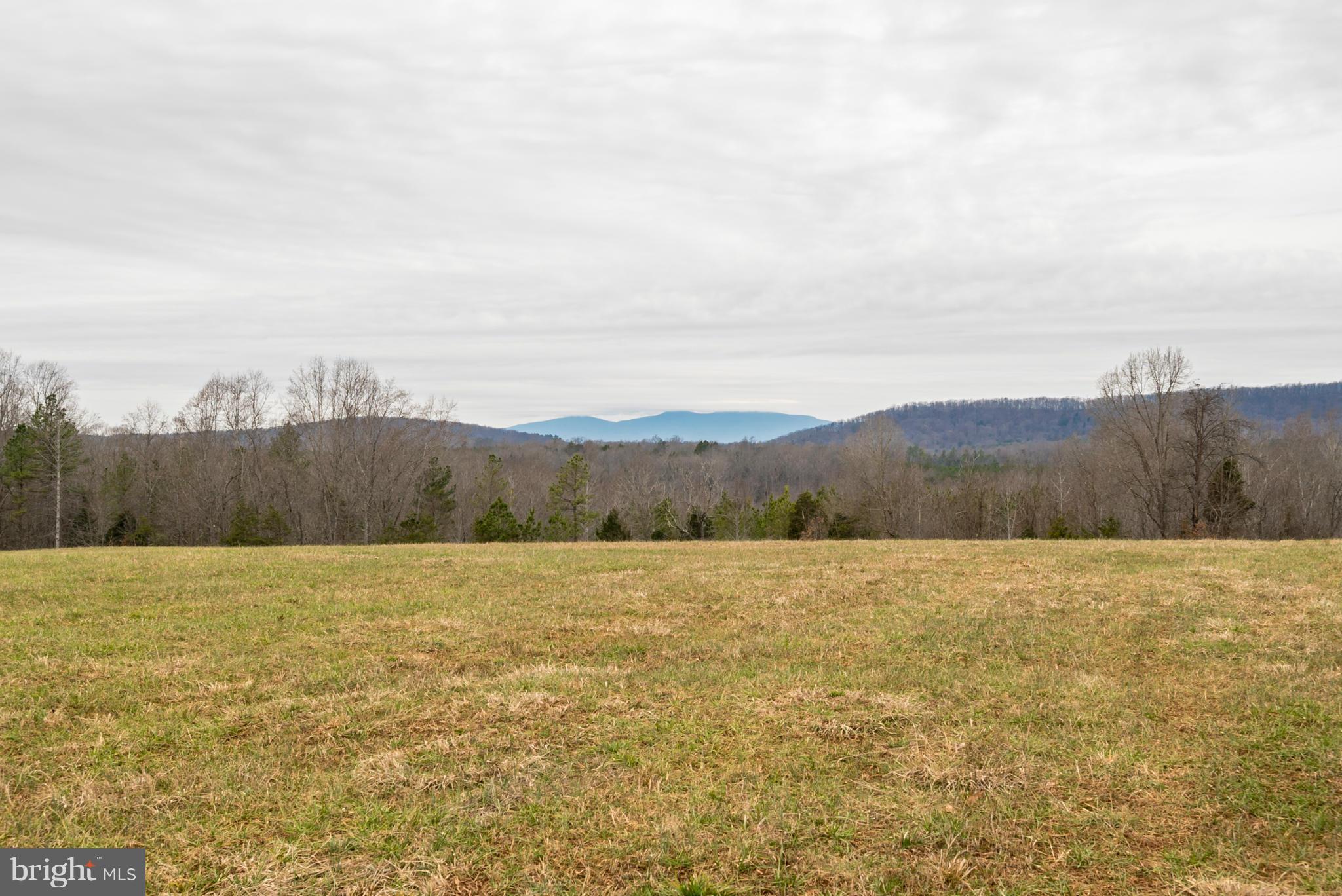 BUFFALO RIDGE - Land