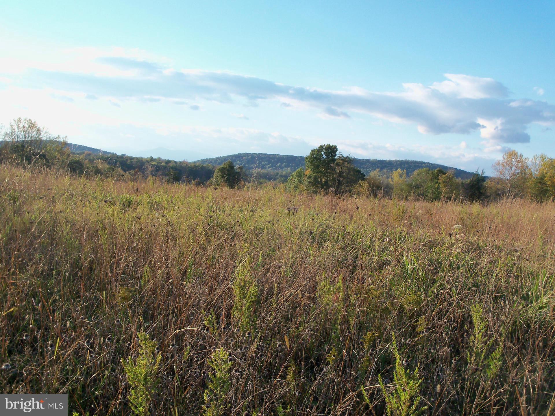 BUFFALO RIDGE - Land