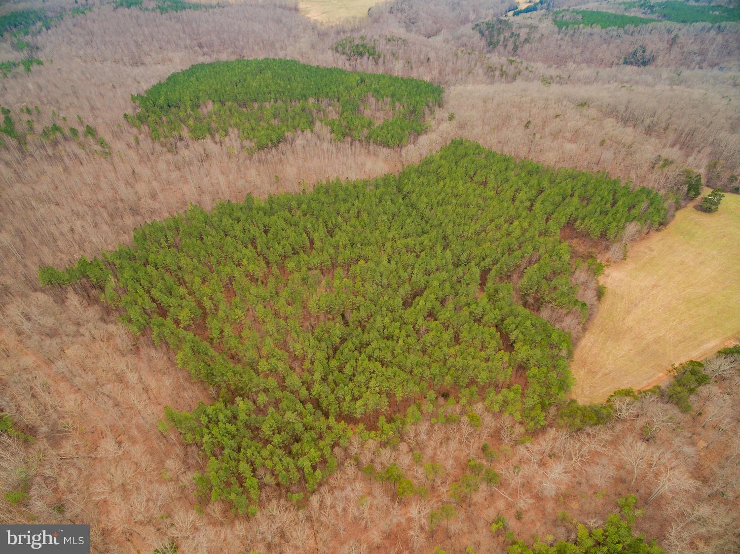 BUFFALO RIDGE - Land