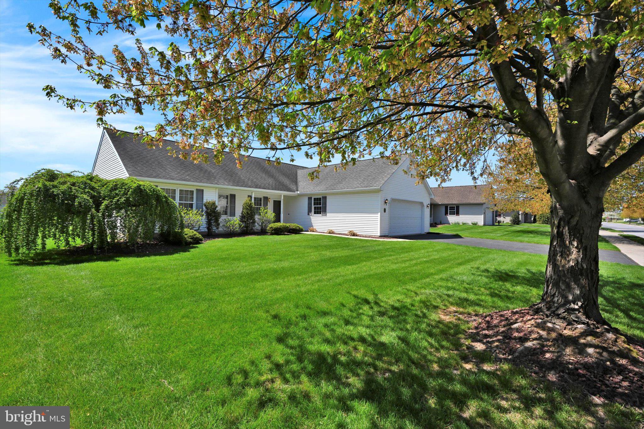 14 ROSEMONT DRIVE